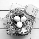 Osterwuensche 2015 | ADLERPACK