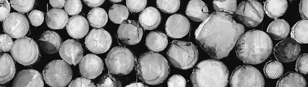 Holzverpackungen aller Art | ADLERPACK